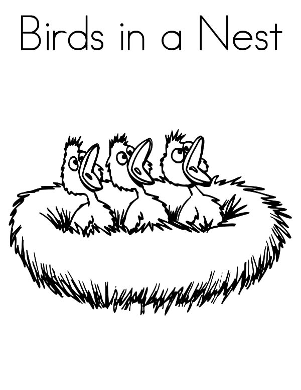 baby birds in a nest coloring pages - photo #1